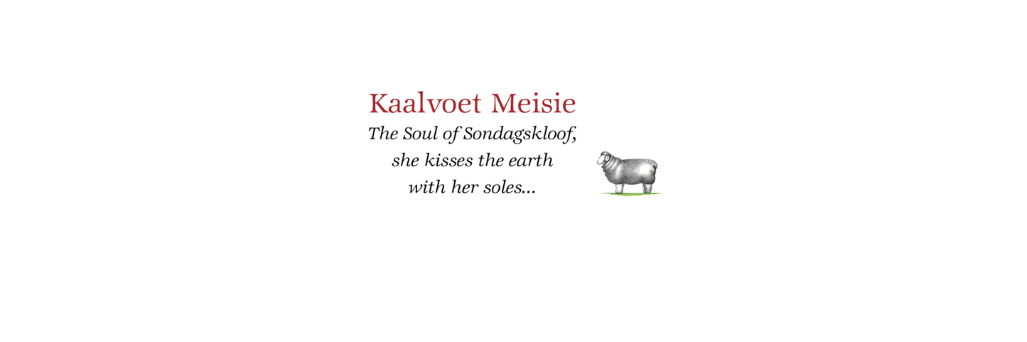 Kaalvoet Meisie