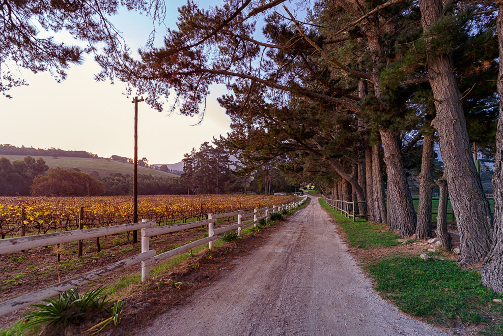 Hermanuspietersfontein Wines