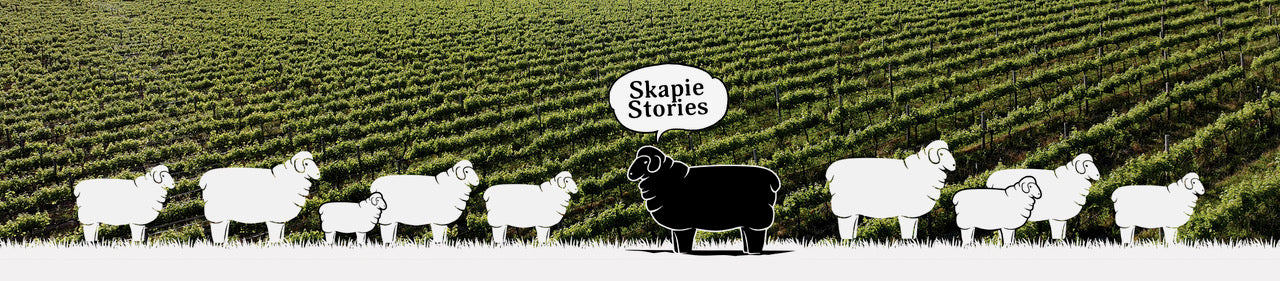Kleinboet plans a “small” party