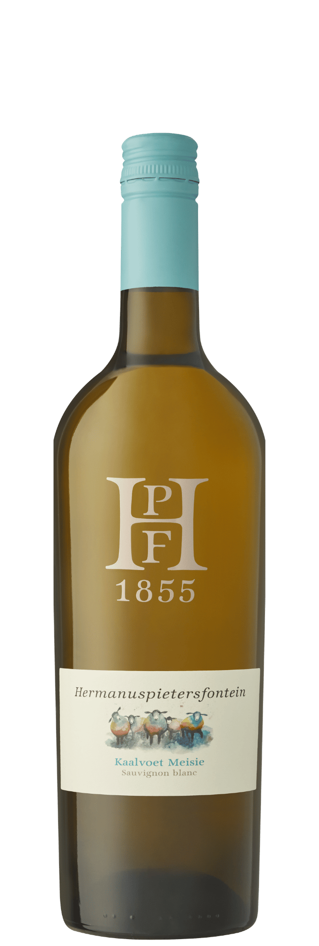 Kaalvoet Meisie 2025