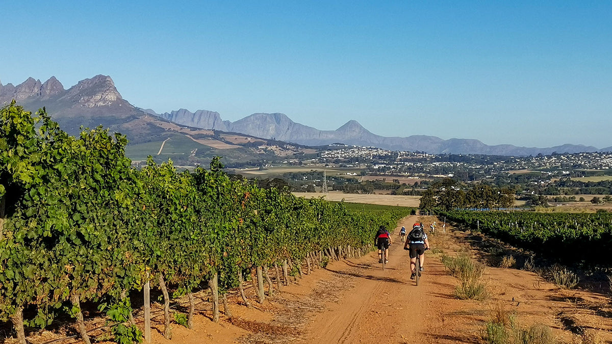 Hermanuspietersfontein Wines 